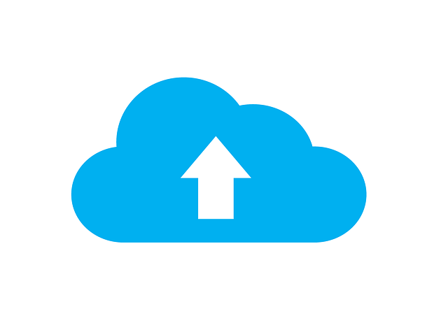 Backup web