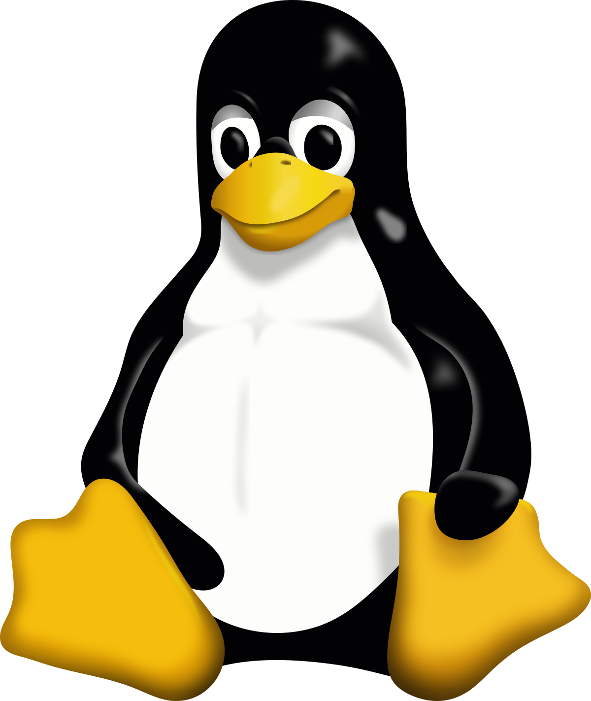 servidor-linux